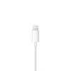 Apple EarPods with Lightning Connector (MMTN2) (HC, in box) мал.5