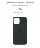 Silicone Case Original for Apple iPhone 12 mini (OEM) - Cyprus Green мал.2